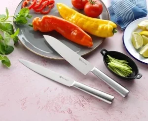 Knivsett, rustfritt stål Sett med 4 kniver